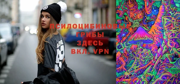 стаф Волосово