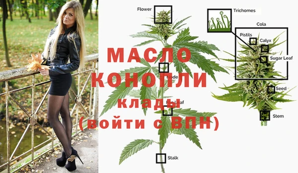 крисы Осинники