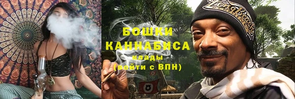 крисы Осинники