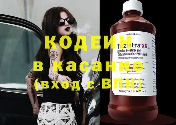 крисы Осинники