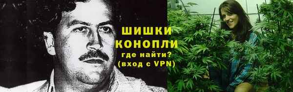 крисы Осинники