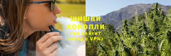 сатива Володарск