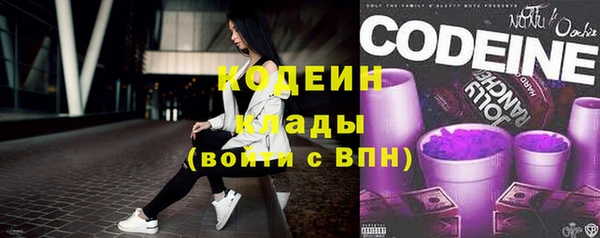 гашик Пересвет
