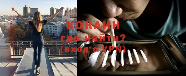крисы Осинники
