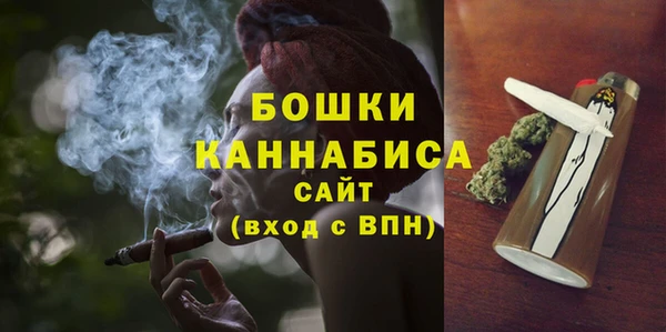 крисы Осинники